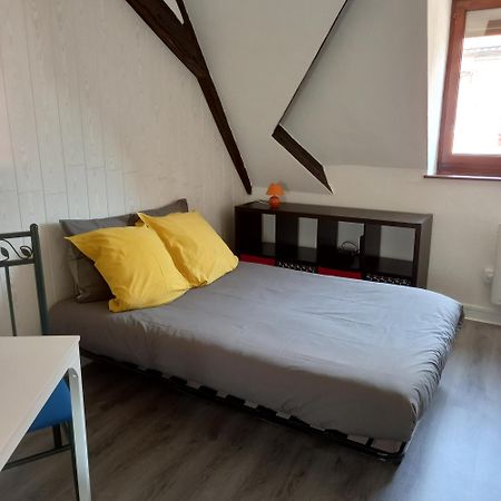 Colmar: Studio Dans Le Centre Historique Εξωτερικό φωτογραφία
